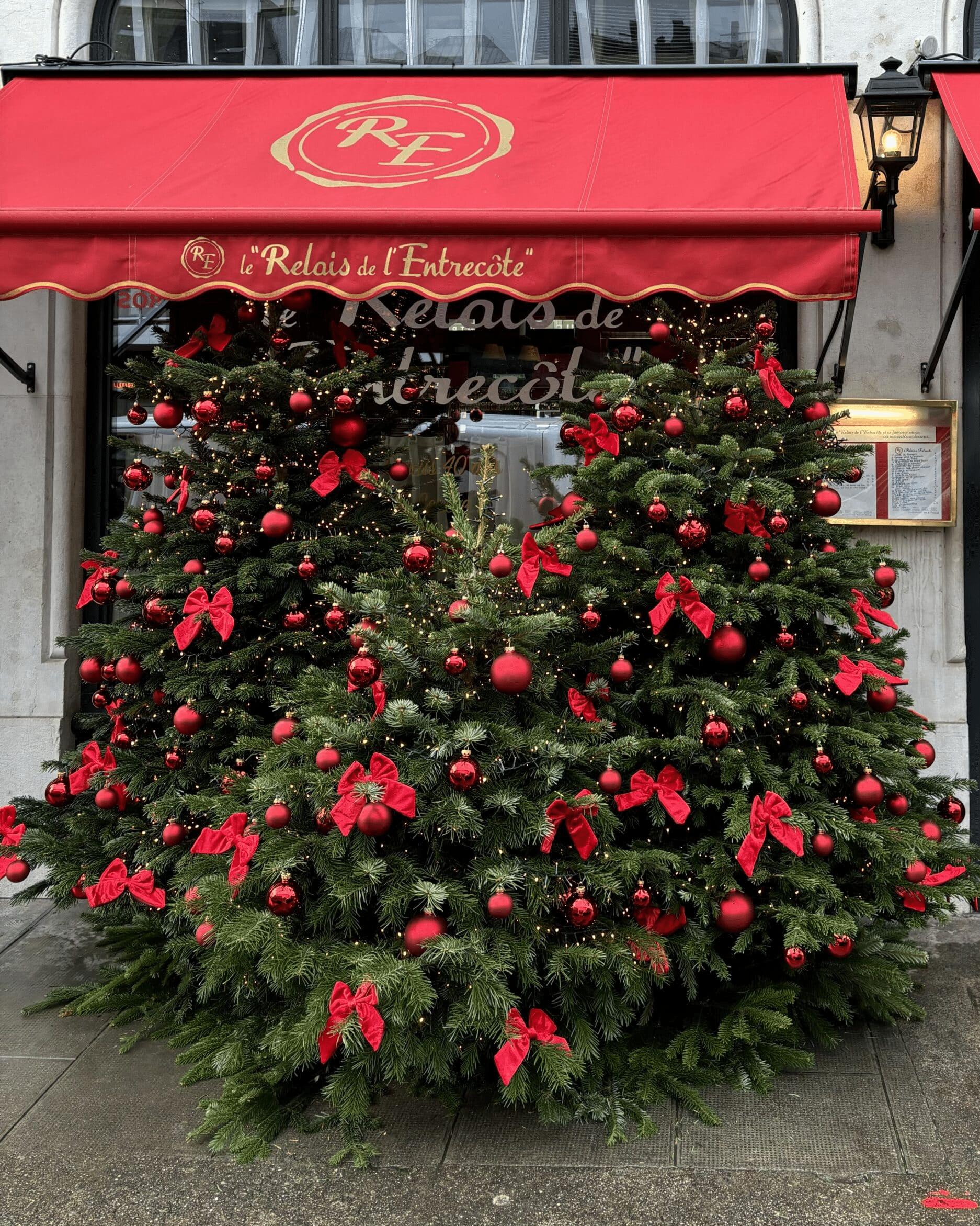 Décoration de Sapins de Noël dans un restaurant à Genève